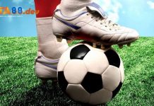 Bật mí kèo lựa ăn bao nhiêu tại nhà cái TA88? Khái niệm kèo lựa là gì?