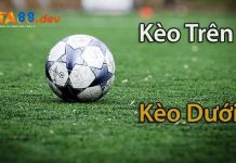 Kèo trên kèo dưới là gì? Cách bắt kèo chuẩn đến từ TA88 Tìm hiểu kèo trên kèo dưới là gì với TA88